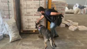 Bisküvi kutularından 16 bin paket kaçak sigara çıktı