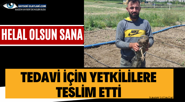 Helal Olsun Sana!