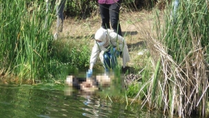 İstanbul'da dehşet! Kafası kesilmiş kadın cesedi bulundu