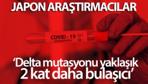 Japon araştırmacılar: 'Delta mutasyonu yaklaşık 2 kat daha bulaşıcı'