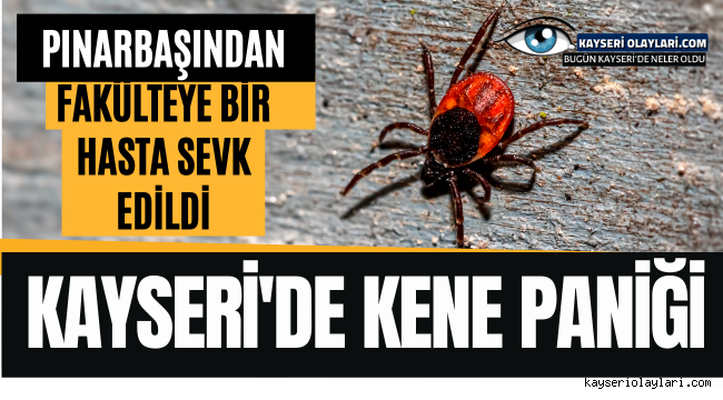 Kayseri'de Kene Paniği!