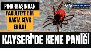 Kayseri'de Kene Paniği!