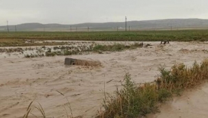 Konya'da sağanak! Tarım arazileri suyla doldu