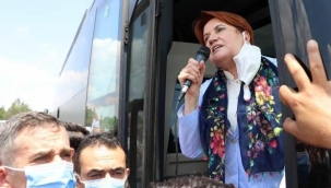'Para etmiyor' diye Akşener'in önüne döktüğü soğanları gidince geri topladı