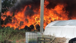 Son dakika... Adana Seyhan'da feci yangın!