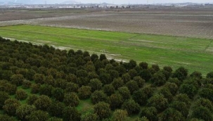 Tarım sezonunda yağışlar azaldı