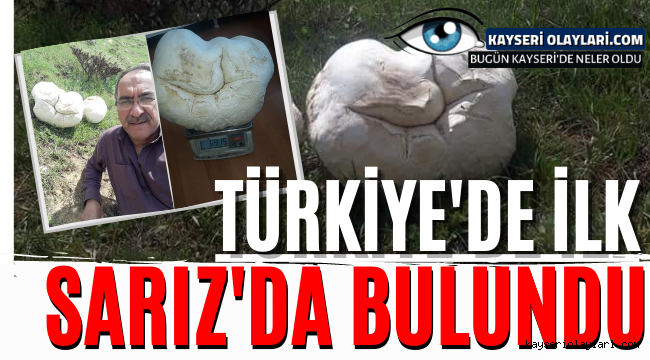 Türkiye'de Bir İlk! Sarız'da Bulundu