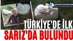 Türkiye'de Bir İlk! Sarız'da Bulundu