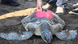 Uydudan izleniyor! 'Talay' 3 günde 30 kilometre yol aldı