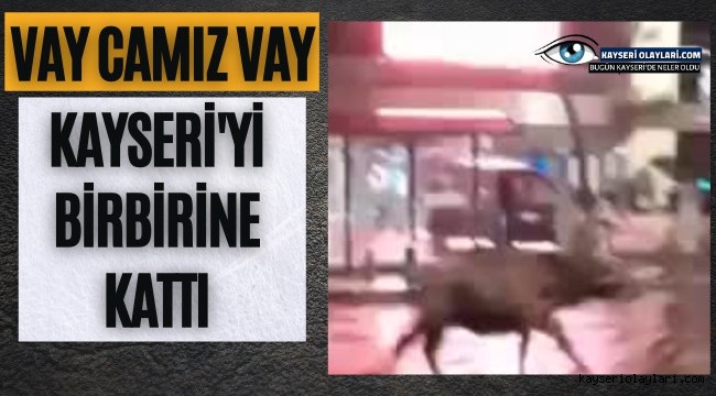 Vay Camız Vay! Kayseri'yi Birbirine Kattı