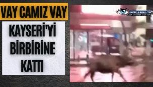 Vay Camız Vay! Kayseri'yi Birbirine Kattı