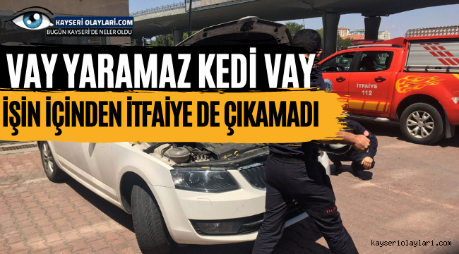 Vay Yaramaz Kedi! İşin İçinden İtfaiye de Çıkamadı