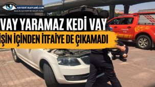Vay Yaramaz Kedi! İşin İçinden İtfaiye de Çıkamadı