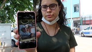 Adana'da doğum skandalı! Kafatası kırılan Azra bebek, ölüm kalım savaşı veriyor