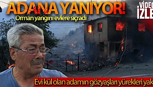 Adana'daki orman yangınında evler alevlere teslim oldu