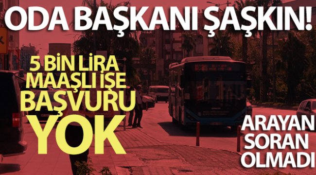 Aylık 5 bin TL maaşla çalışacak 50 otobüs şoförü aranıyor ama bulunamıyor