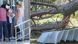 Düğünde ağaç masaların üstüne devrildi: 1 kişi öldü... Restoranın işletmecisi: İhmal yok