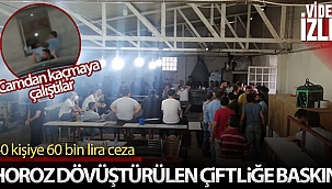 Horoz dövüştürülen çiftliğe baskın: 40 kişiye 60 bin lira ceza