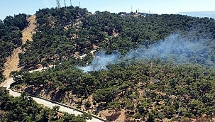 İzmir'de ormanlık alanda yangın!