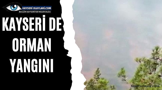 Kayseri'de orman yangını