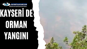 Kayseri'de orman yangını
