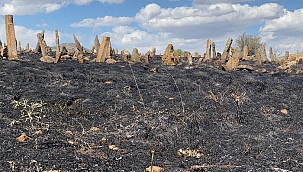 Köy mezarlığı alev alev yandı