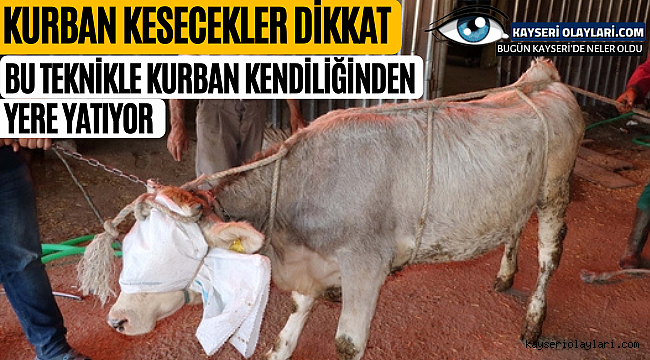 Kurban Kesecekler Dikkat! Kurban yatırma tekniği