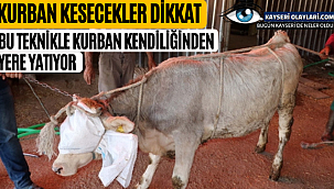 Kurban Kesecekler Dikkat! Kurban yatırma tekniği