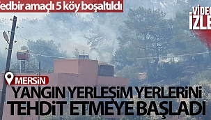 Mersin'deki orman yangını yerleşim yerlerini tehdit etmeye başladı