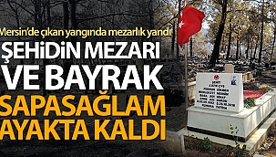 Mezarlık yandı, şehidin mezarı ve bayrak sapasağlam ayakta kaldı