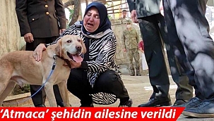 Şehit onbaşı Ahmet Akdal'ın köpeği 'Atmaca' şehidin ailesine verildi... Gözyaşlarına boğuldular
