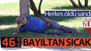 Sıcaktan fenalaşıp gölgede uyudu, vatandaşlar öldü sandı