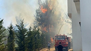 Son Dakika: Osmaniye'de hastane ve yerleşim alanı yakınında orman yangını
