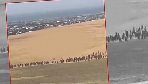 Son dakika: Sosyal medyada da konuşulmuştu! Van Valiliği'nden 'düzensiz göçmen' açıklaması