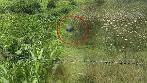 Tarlada köpeğe cinsel istismarda bulunurken görüntülenmişti! Hayvan Hakları Yasası'nda ilk uygulama Bartın'da