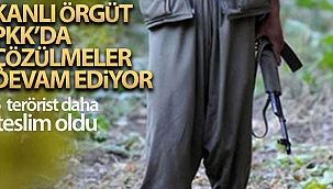 Terör örgütü PKK'da çözülme devam ediyor: 5 PKK'lı daha teslim oldu