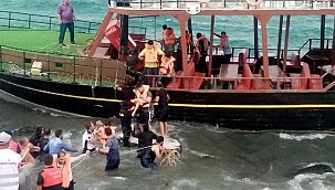 Van Gölü'nde gezi teknesi karaya oturdu! Yolcular halatlarla kurtarıldı