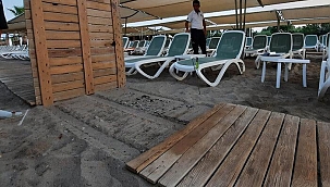 '5 yıldızlı' katliam! Onlarca caretta caretta yavrusu sıkışarak öldü