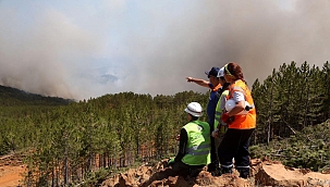AFAD Kayseri yangın bölgesinde çalışmalarını sürdürüyor