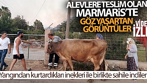 Alevlere teslim olan Marmaris'te göz yaşartan görüntüler
