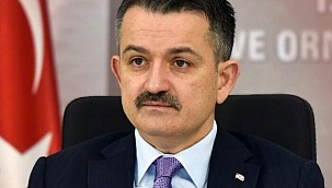 Bakan Pakdemirli'den yangın söndürme konusundaki iddialara yanıt