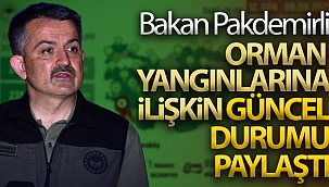 Bakan Pakdemirli, orman yangınlarına ilişkin güncel durumu paylaştı