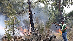 Bakan Yanık: 2013'ten bu yana 542 bin kişiye psikososyal destek hizmeti verdik