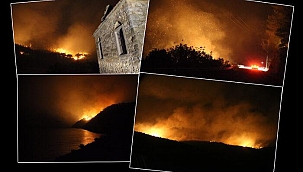 Bodrum'daki yangında son durum! Kimsenin girmesine izin verilmiyor