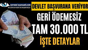 Devlet Başvurana Geri Ödemesiz Verecegini Duyurdu İşte O Detaylar...