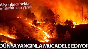 Dünya genelinde çıkan yangınlarda milyonlarca hektar ormanlık alan yandı