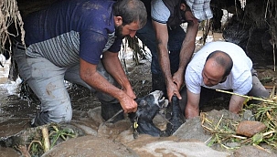Erzurum, Van ve Hakkari'de sel felaketi! Karayolu ulaşıma kapandı