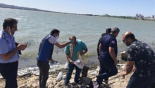 Kaçak avlanan 1 ton balık göle bırakıldı