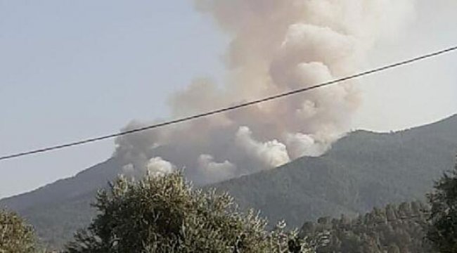 Karacasu'da orman yangını