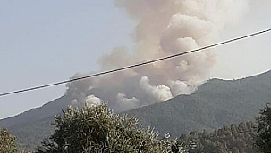 Karacasu'da orman yangını